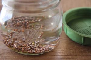 soaking seeds for sprouting