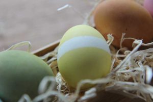 natural easter egg dyes