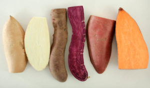 sweet potato varieties