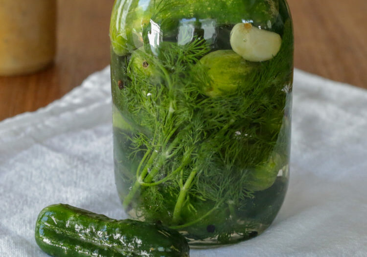An easy way to make fermented pickles using salt and a little apple cider vinegar