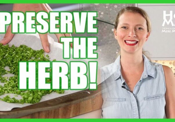 How to Preserve Fresh Herbs